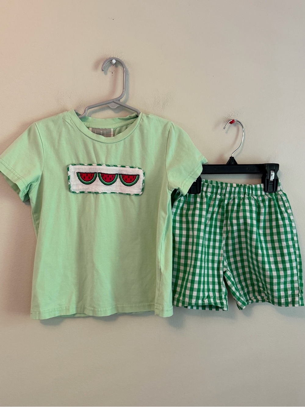 Lil Cactus Mint Green Smocked Watermelon Tee & Green Gingham Shorts Set